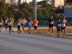 Campeonato Mineiro de Atletismo